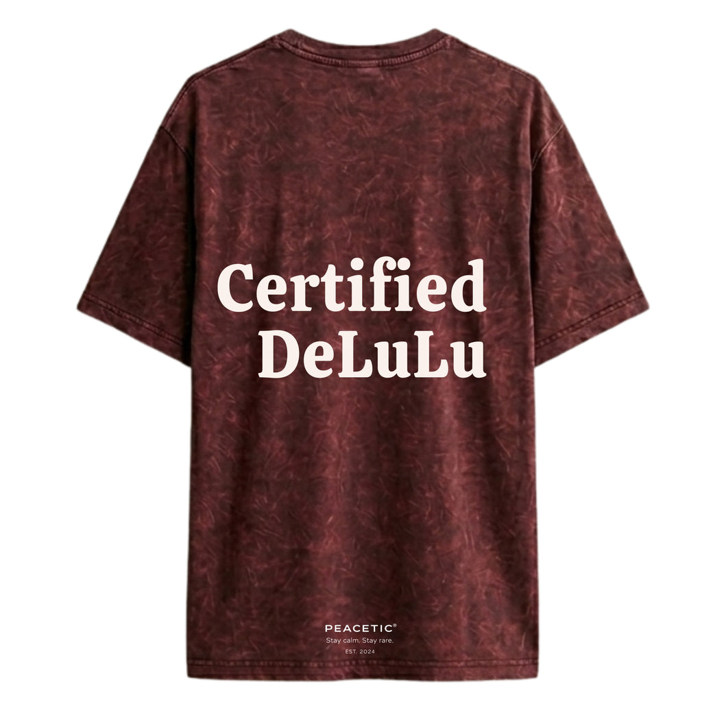 Certified Delulu Acid Wash Oversized Tee