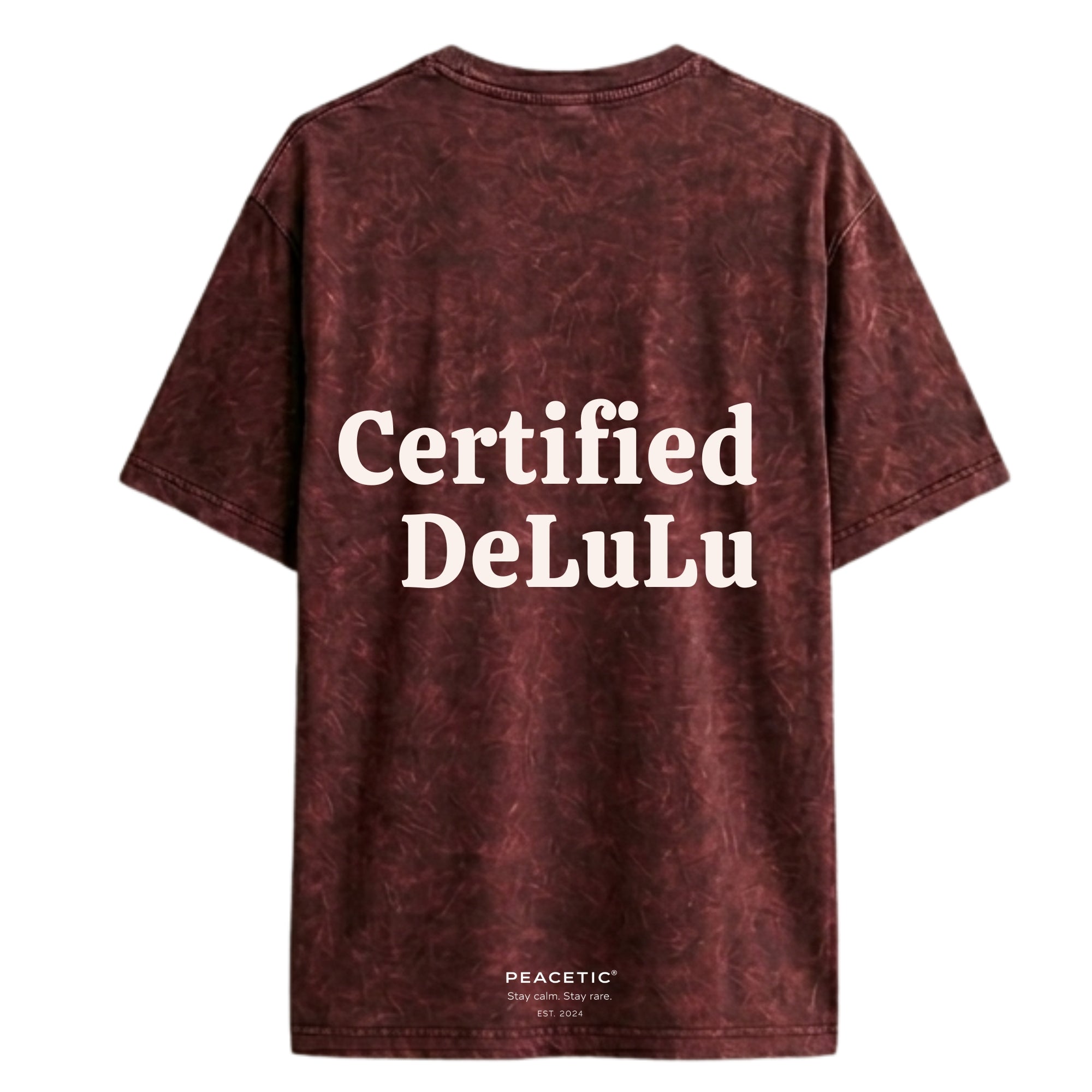 Certified Delulu Acid Wash Oversized Tee